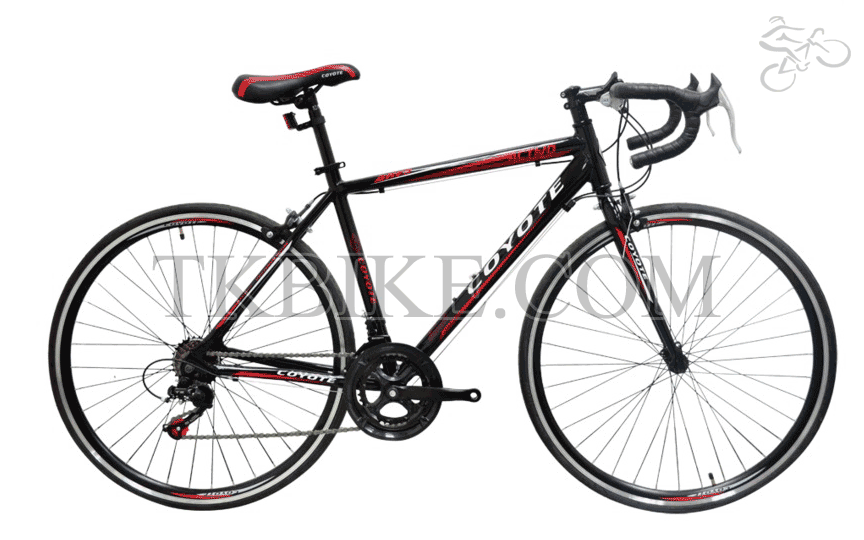 COYOTE ACTIVO
